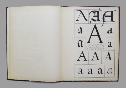 goudy1