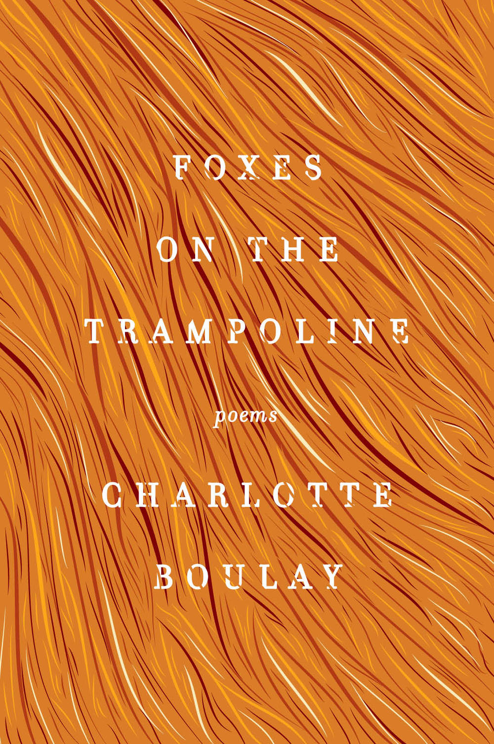 Foxes-on-the-trampoline