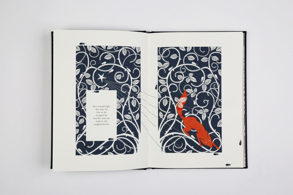 fox and the star int