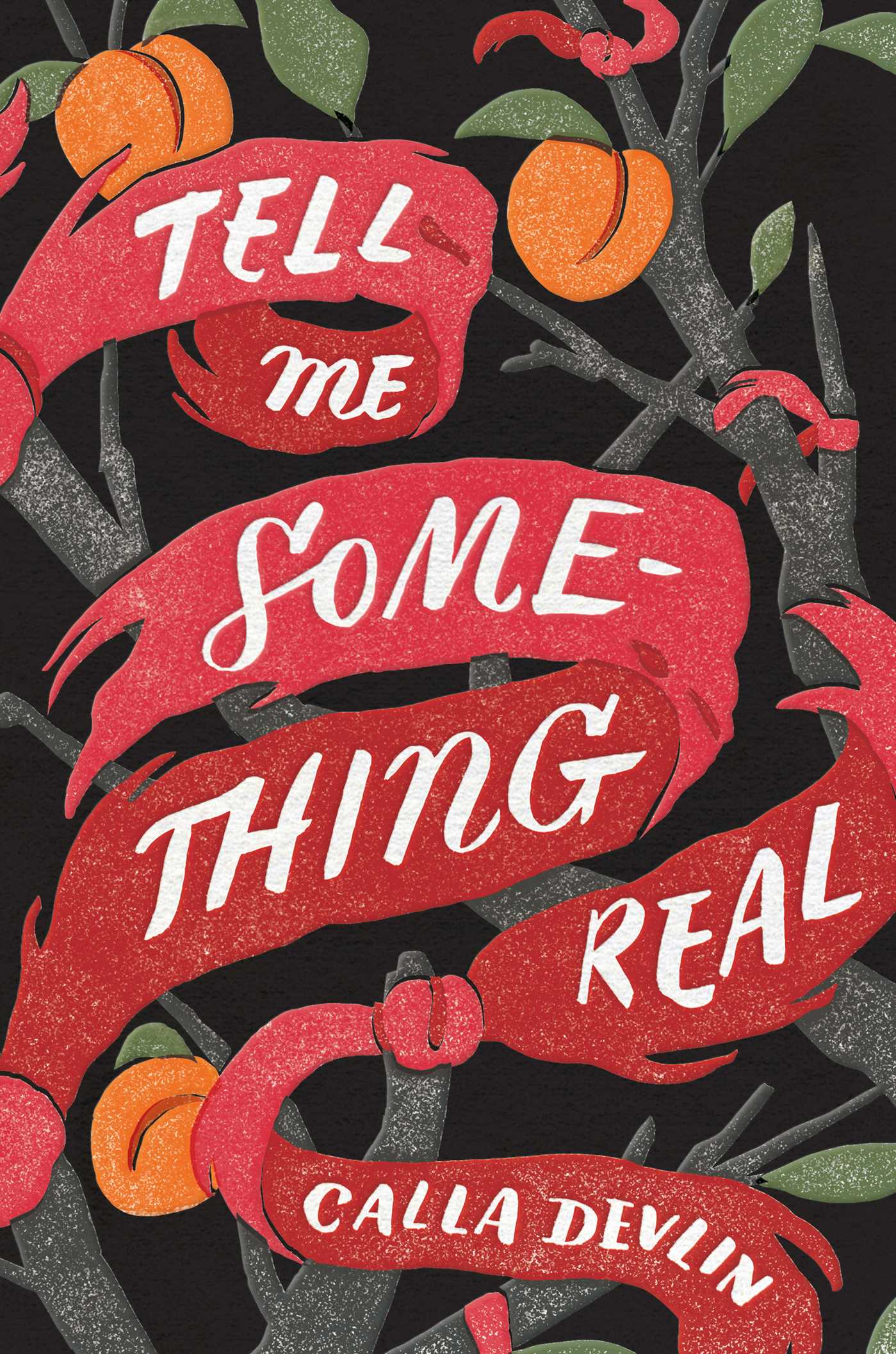 tell-me-something-real-cover-art-jill-de-haan